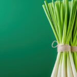 Lyposingrass: The Trend Herb for Weight Loss, Benefits, and Honest Risks
